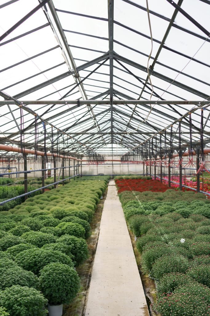 Polycarbonate Greenhouse Panels