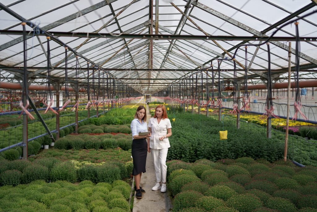 polycarbonate greenhouse