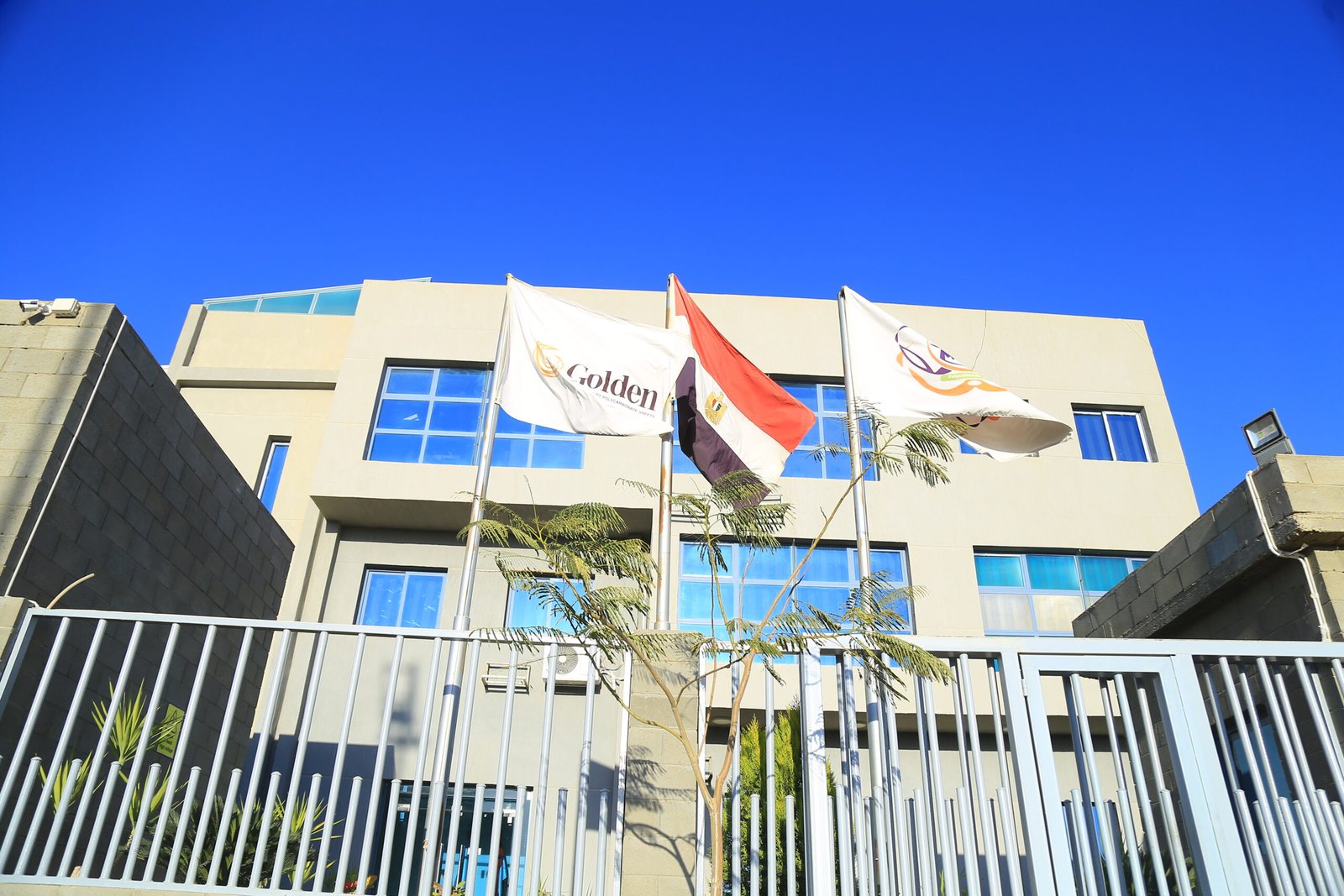 مصنع الواح بلاستيكية