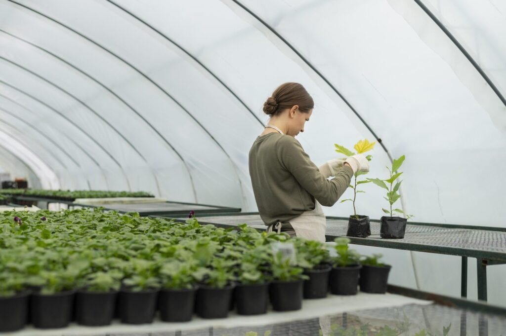 Greenhouse Plastic Panels