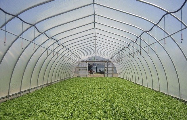Estufa Agrícola de Policarbonato